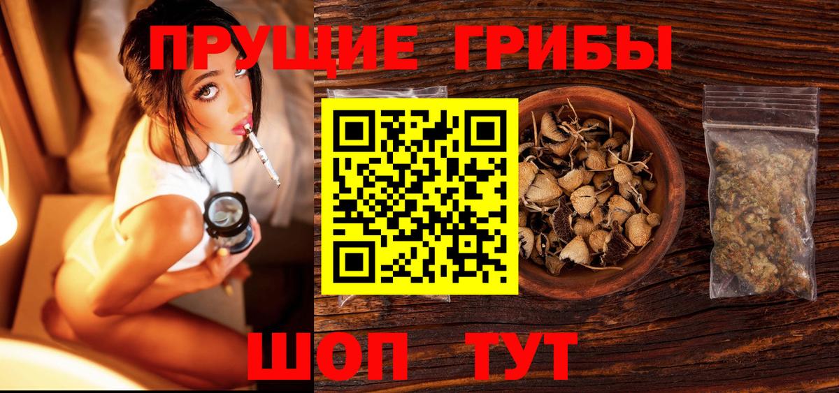 Галлюциногенные грибы MAGIC MUSHROOMS  купить наркотики цена  Псилоцибиновые грибы GOLDEN TEACHER  Магадан  Вход с VPN 