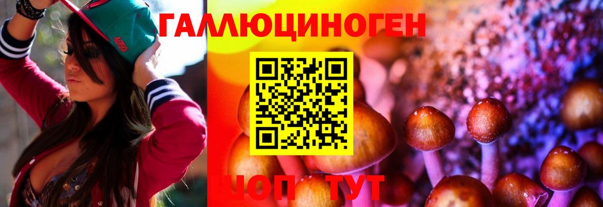 Псилоцибиновые грибы MAGIC MUSHROOMS Магадан