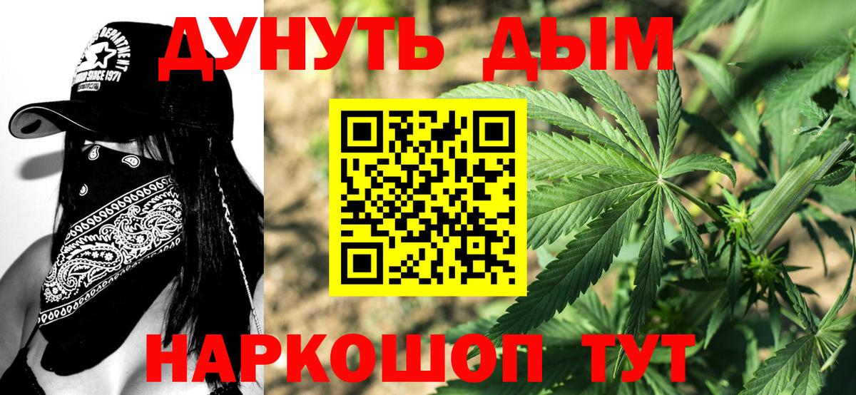 Бошки Шишки сатива  Вход с VPN  Магадан  Марихуана OG Kush  Канабис гибрид 
